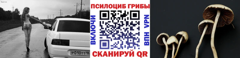 Галлюциногенные грибы GOLDEN TEACHER  где можно купить   Няндома 